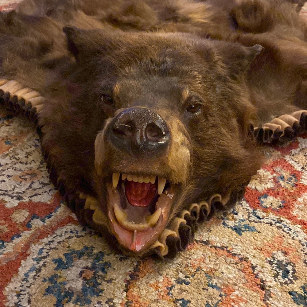 SOLD Bear Rug with head and claws lodge rustic cabin home decor wall